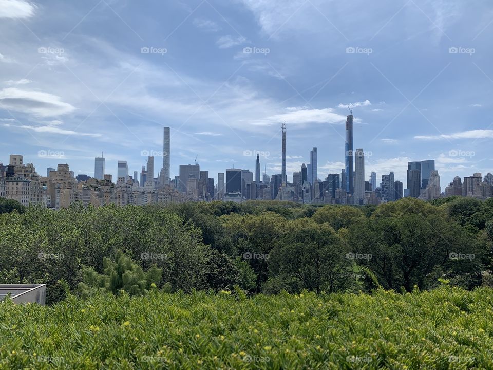 View of Central Park