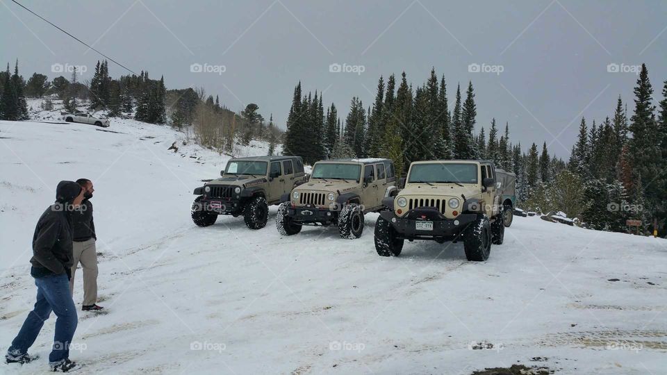 Three Rubicon Jeeps in a row