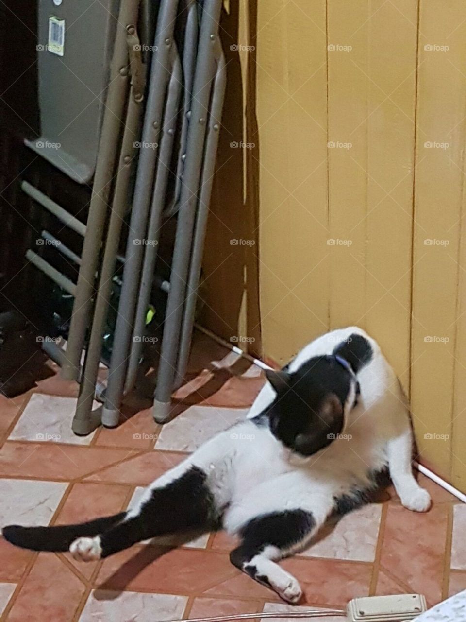 One, No Person, People, Indoors, Furniture