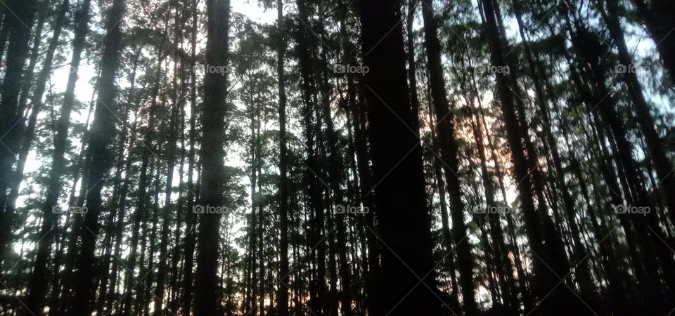 The Beauty of unity in nature ❤️