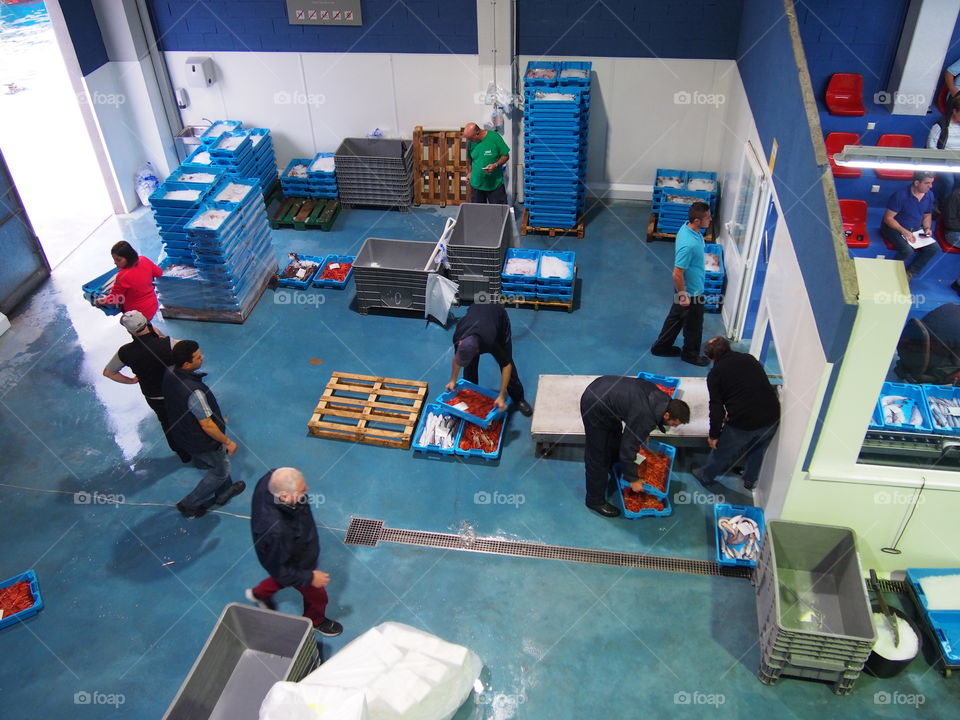 Workers at the fish auction