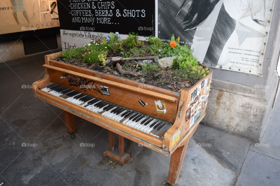 Piano garden in Budapest