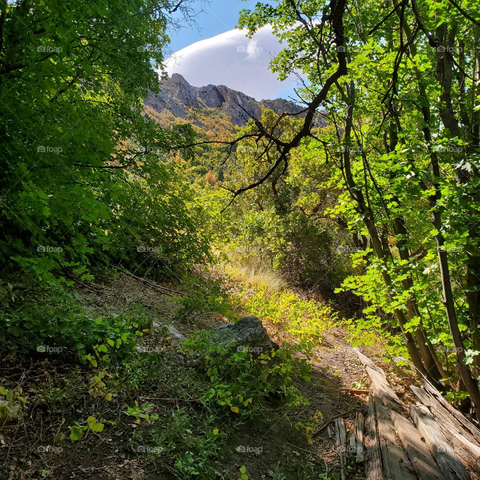 Autumn in the Distance
