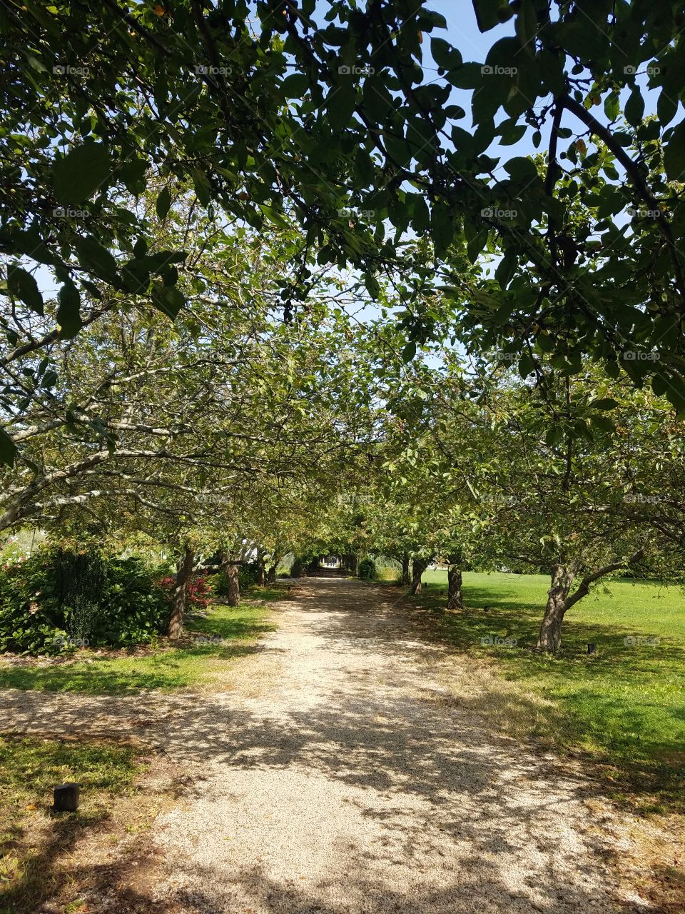 Planting Fields Arboretum State Park, Oyster Bay, NY - August 2017 - Taken on Android Phone - Galaxy S7 - Exploring the Grounds on a Lazy Sunday near the end of Summer