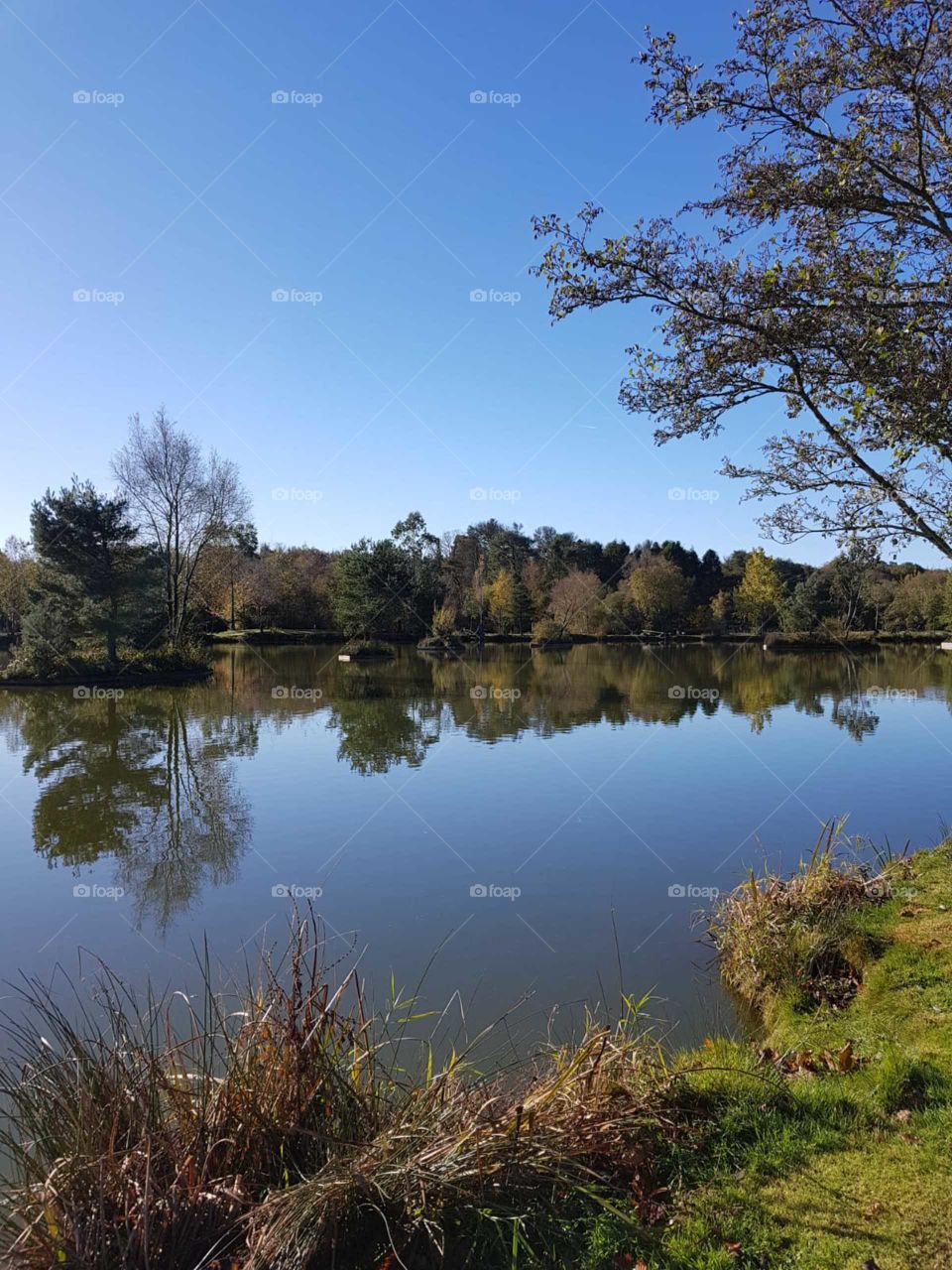 Stafford moor fishery in Devon