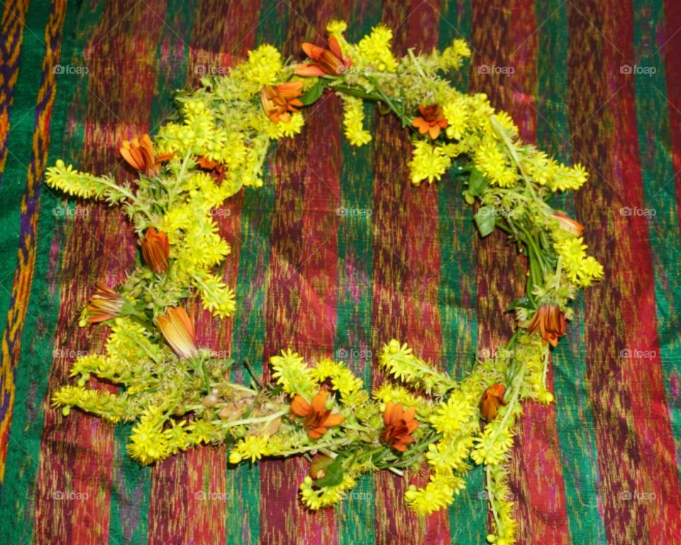 Flower Crown - Daisy with succulent flowers