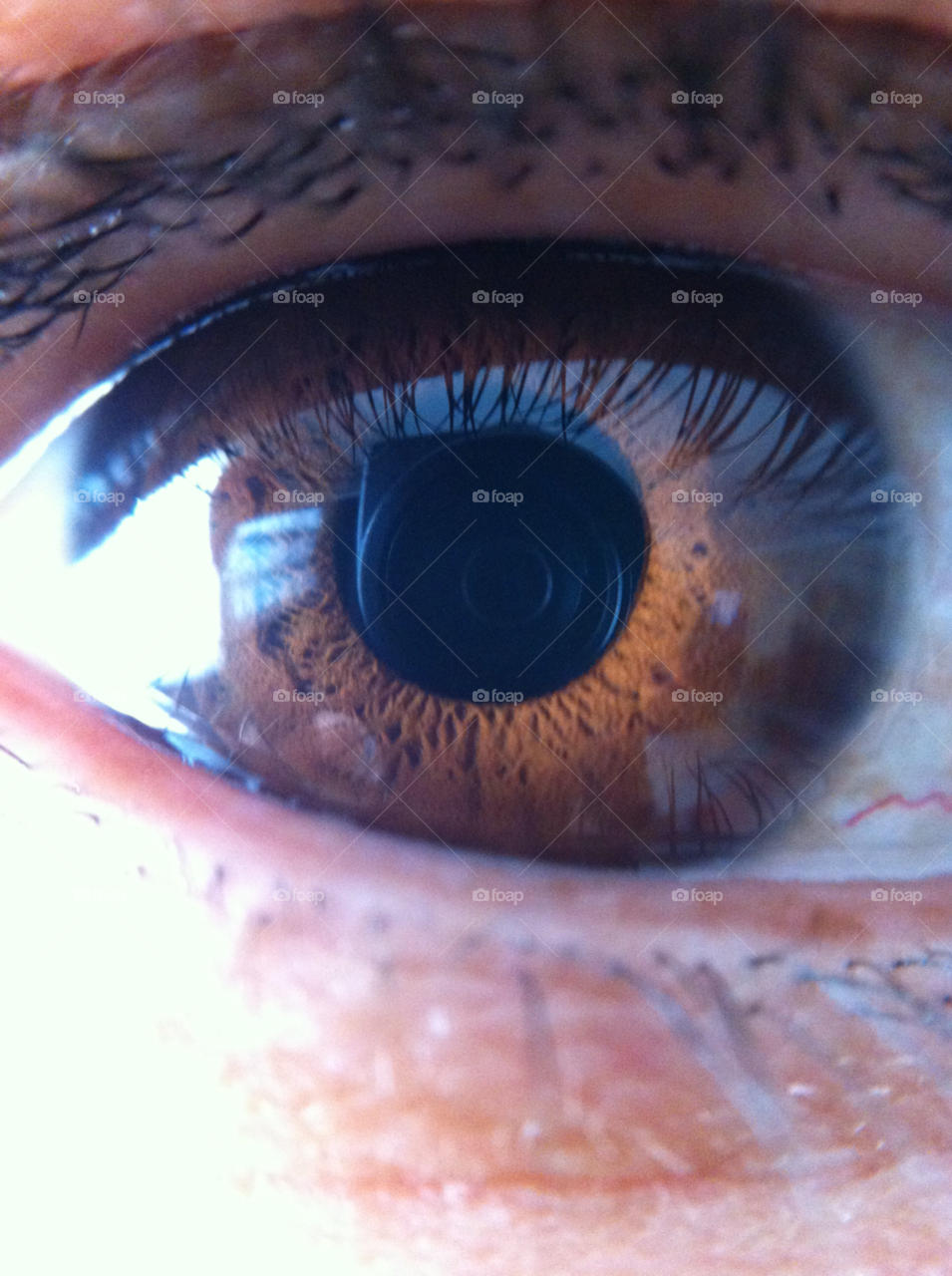 macro eye texture iris by daflux