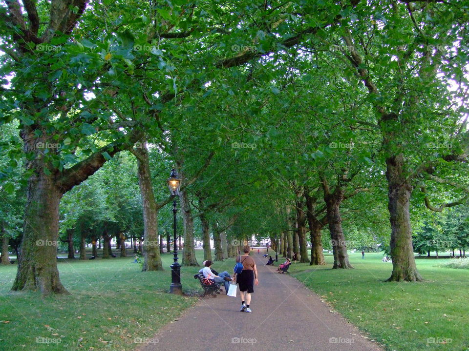 trip to London-England 2012