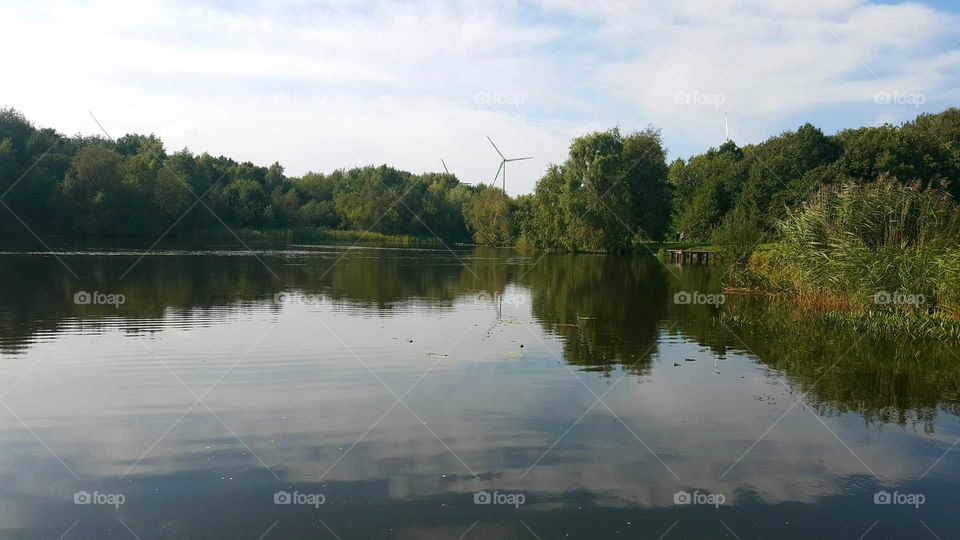 Water, Reflection, Lake, Tree, Landscape