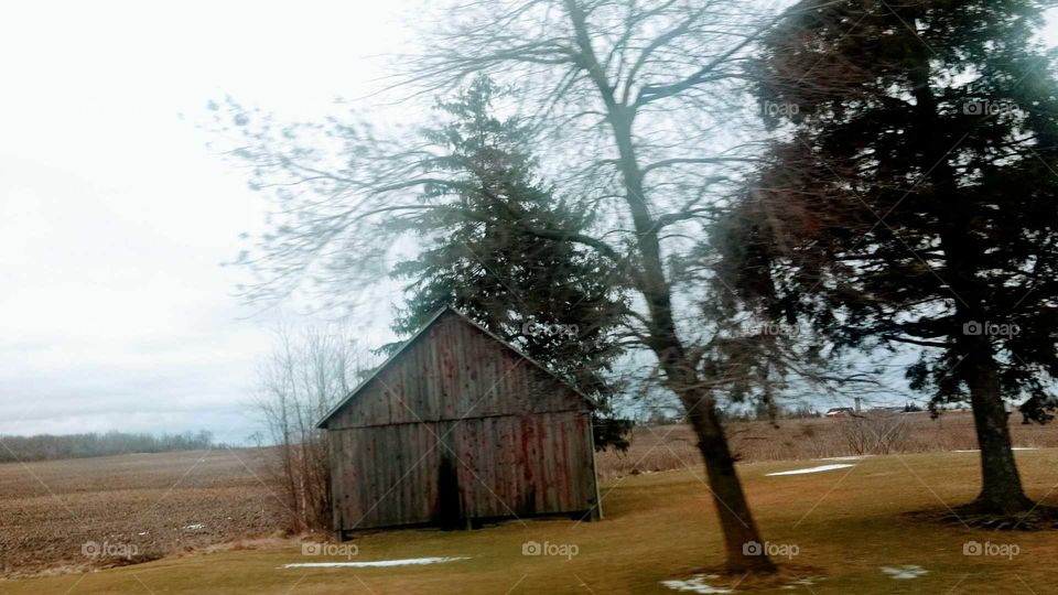 December Winter Day 2016