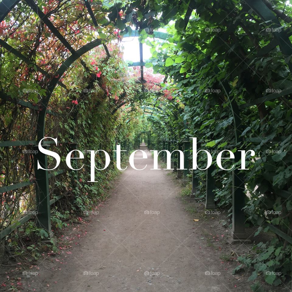 September has come. . Peterhof.  