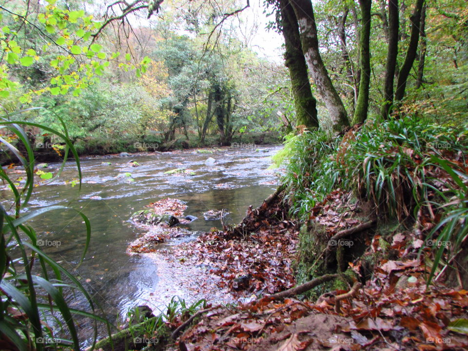 River barle the in autumn