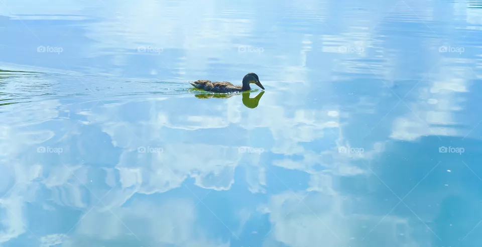Sky Lake