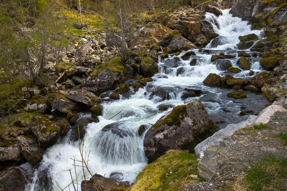 Peaceful Stream in The Middle of The Forest