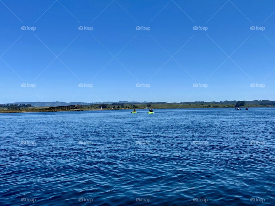 Kayaking through the Elkhorn Slough State Marine Reserve in Moss Landing California 