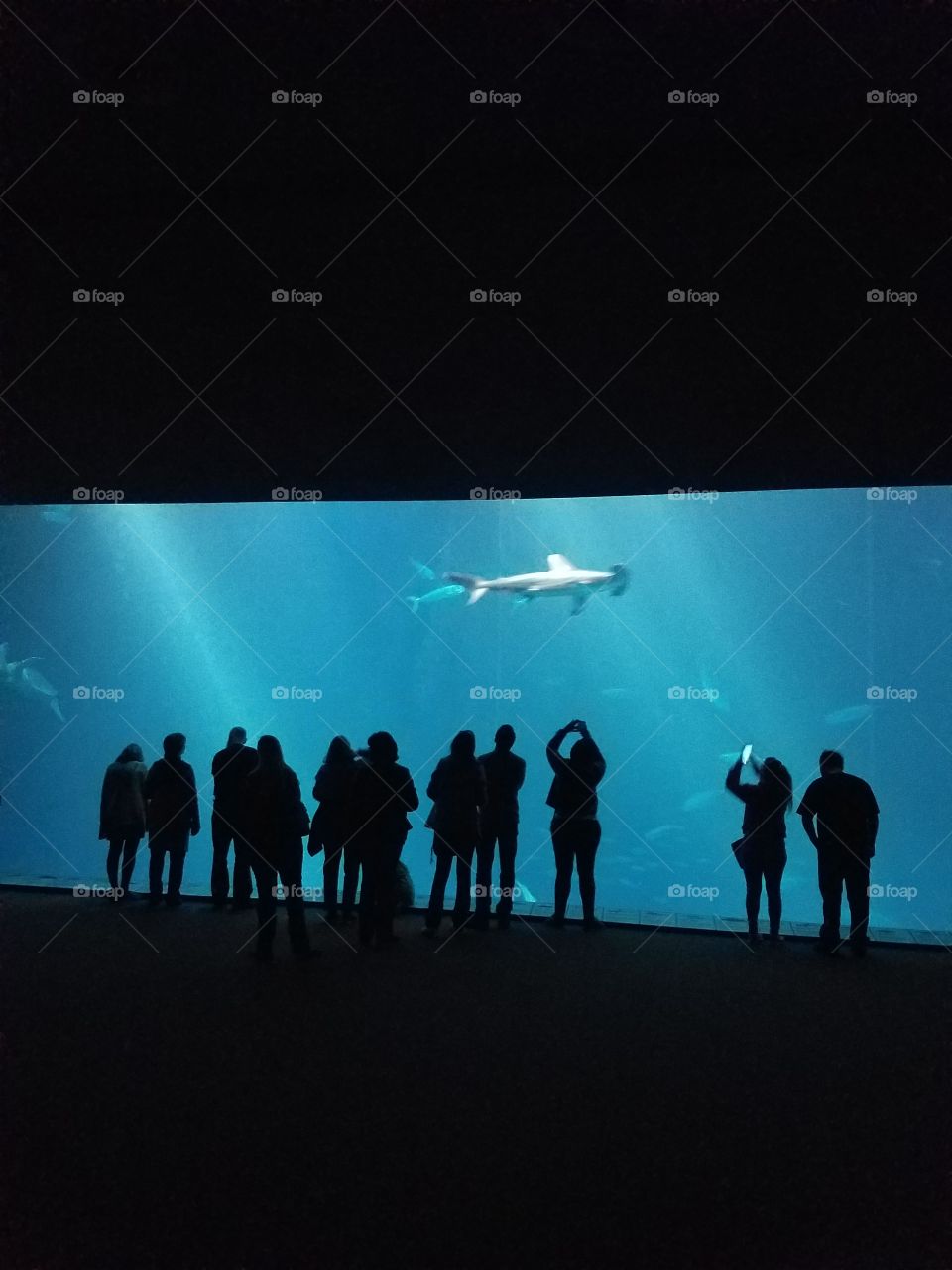 Deep ocean under glass