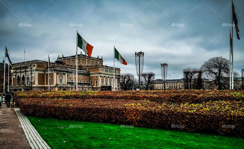 Flags. Flags everywhere.