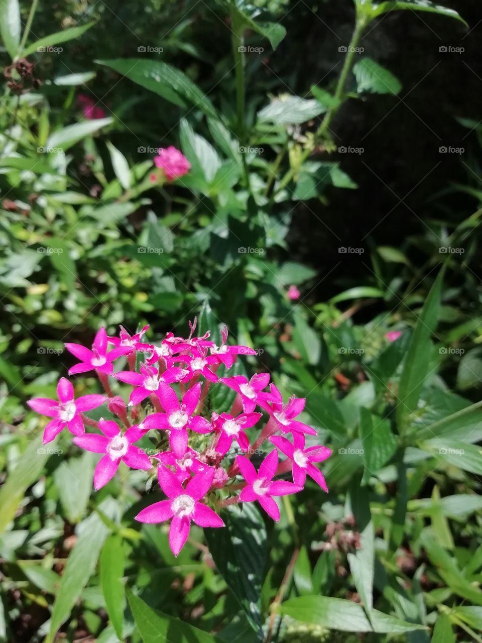 It's a great day of meeting these beautiful ladies #flowers