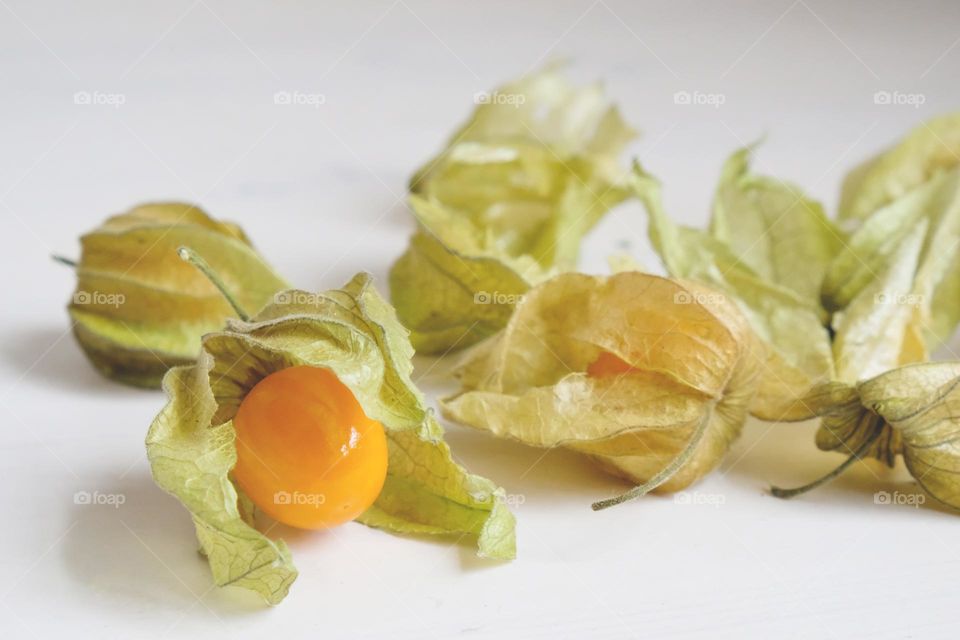 Close up of physalis berries