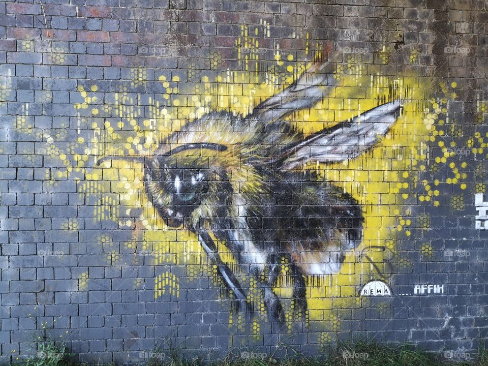 Bumblebee Wall Art