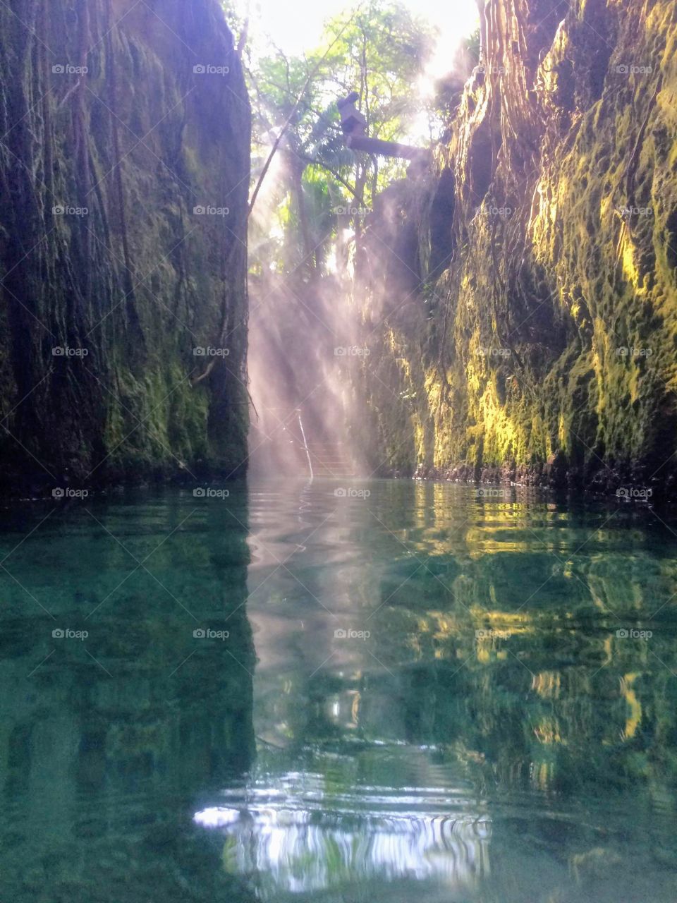 A natural cenote river running througn mexico