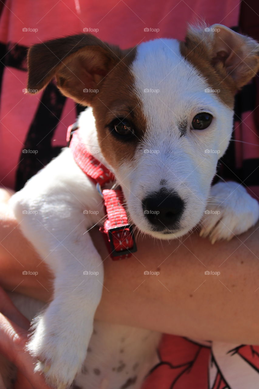 I'm tired... Hold me in your arms