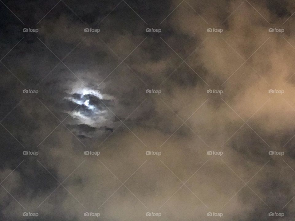 Moonlight Sky, Everett