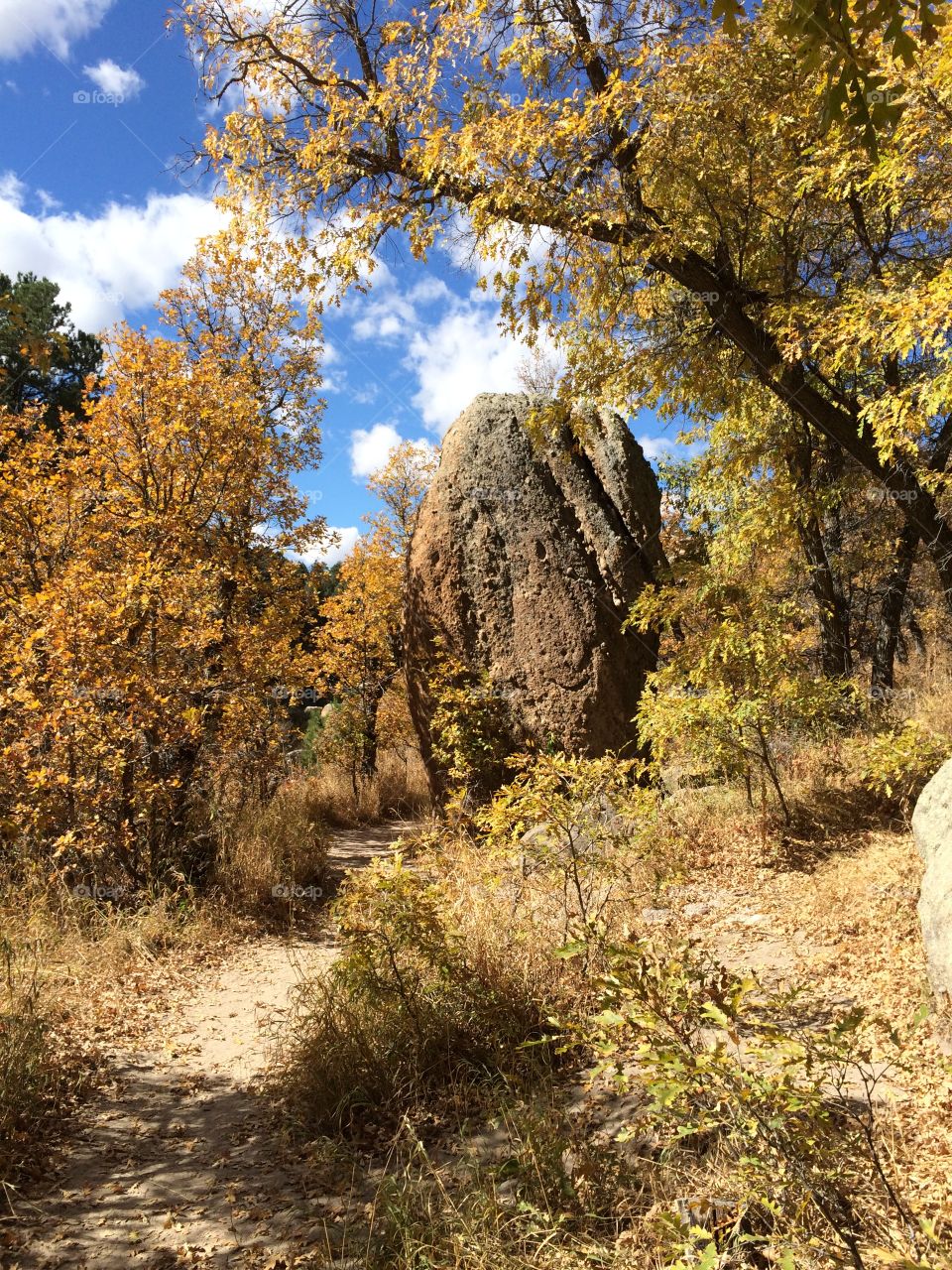 Fall in Colorado 