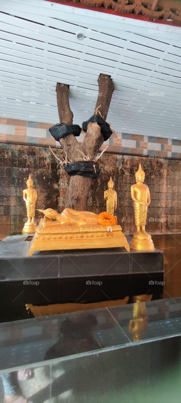 Glimpse of Thailand 11