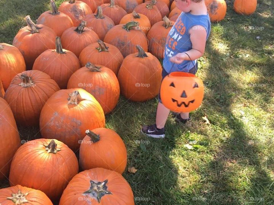Pumpkins!