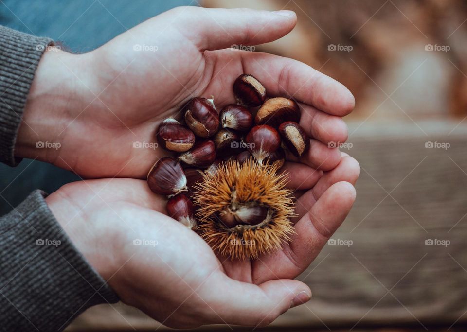 won Twenty-twenty mission.