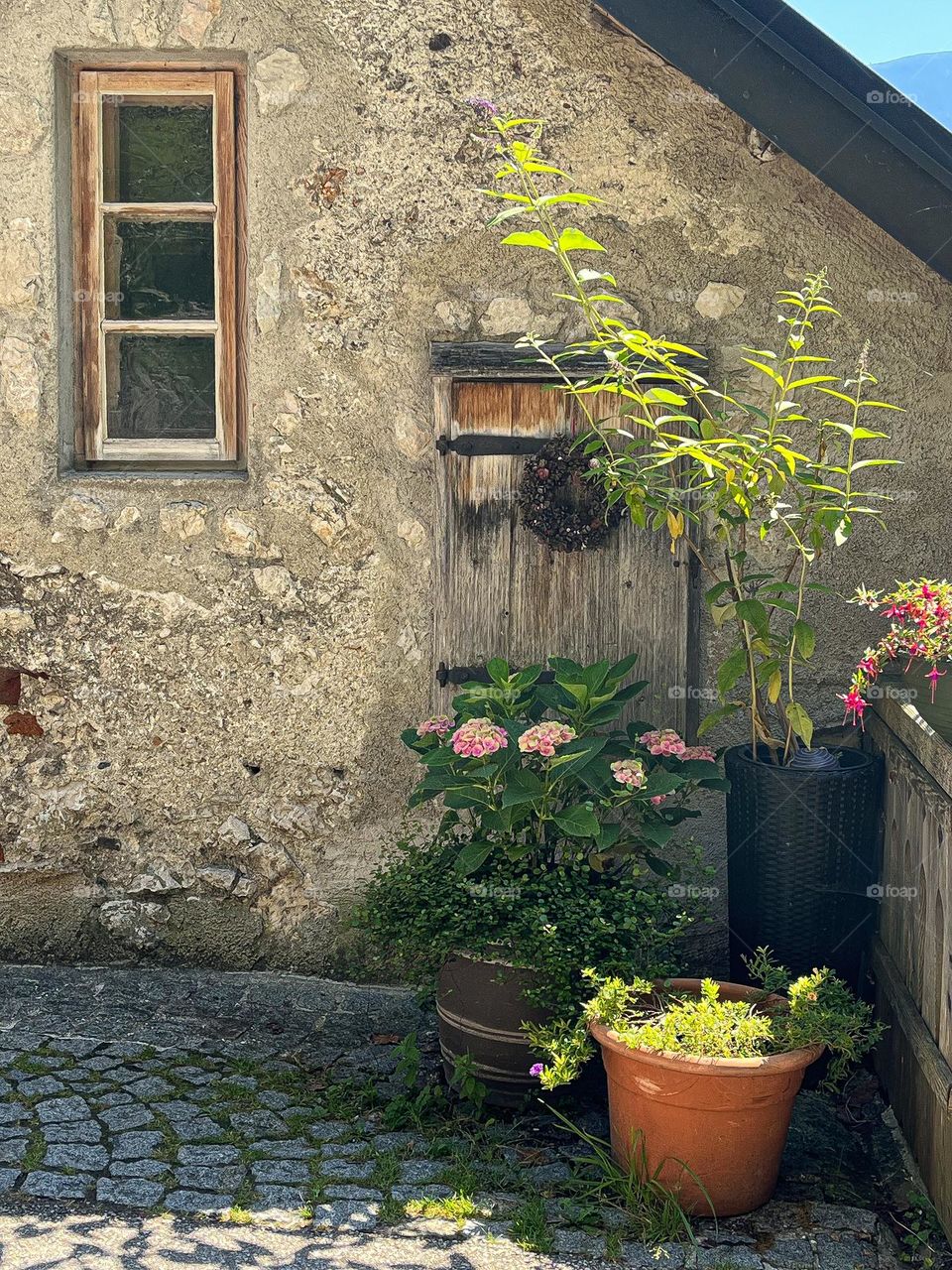 Windows of the world 