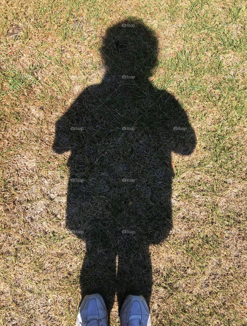 I'm standing on our parched lawn. Since we are in an official drought, the grass crunches under foot as I walk over it, so I stop and take a picture from where I stand!