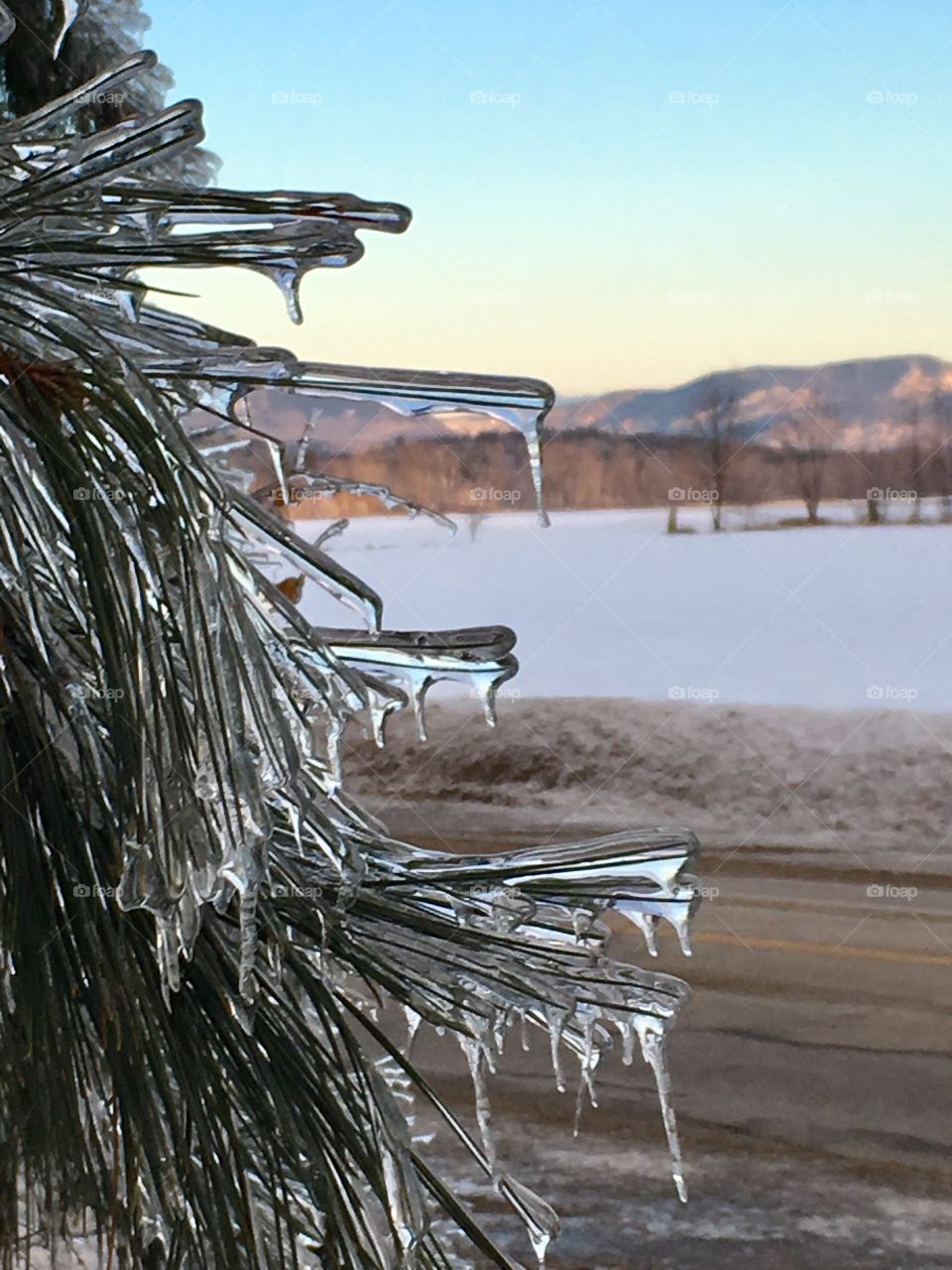 Frozen morning in Maine 