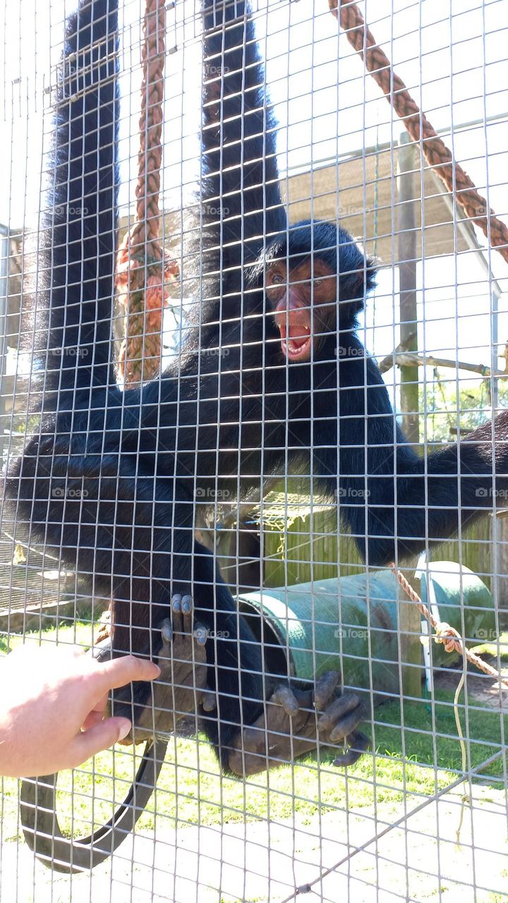 Did you just touch me