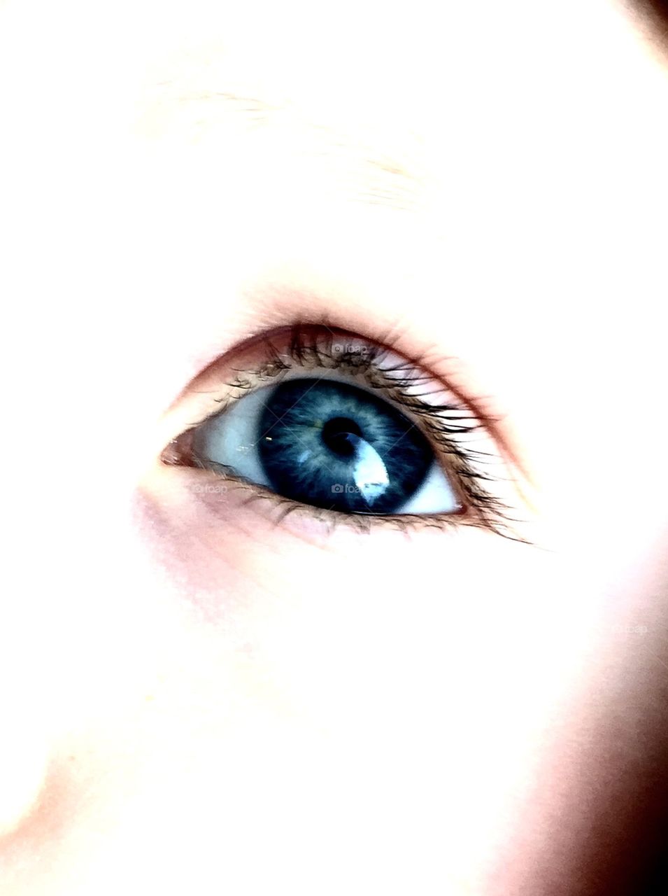 Blue baby boy eye