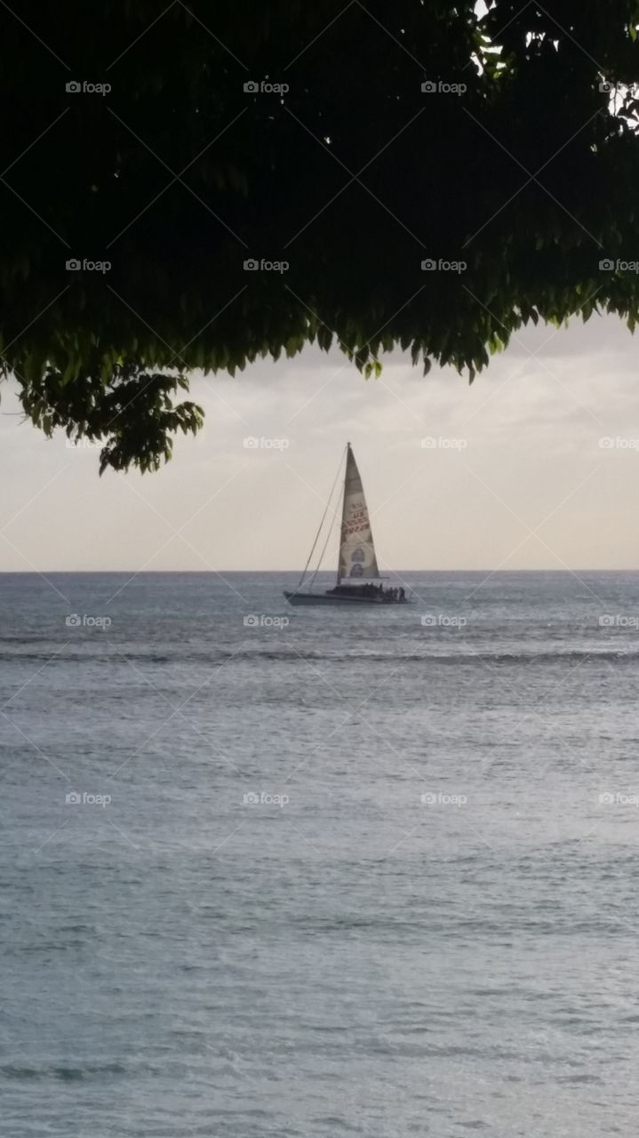 Waikiki Beach Sails