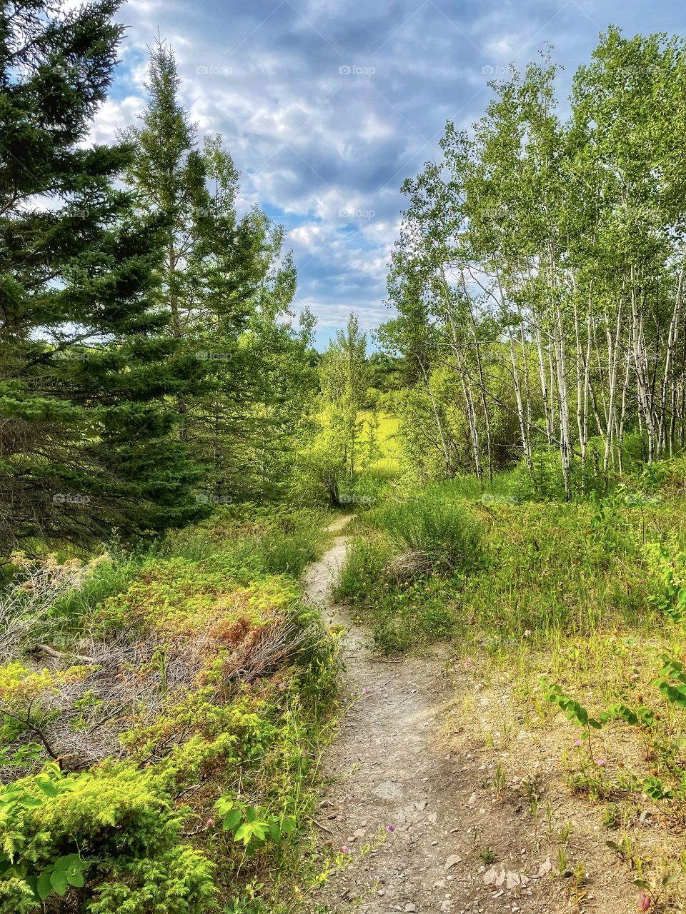 Hiking trail 