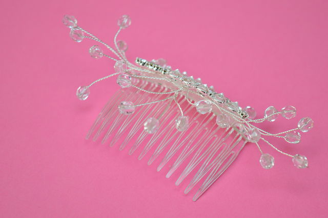 Close-up of comb