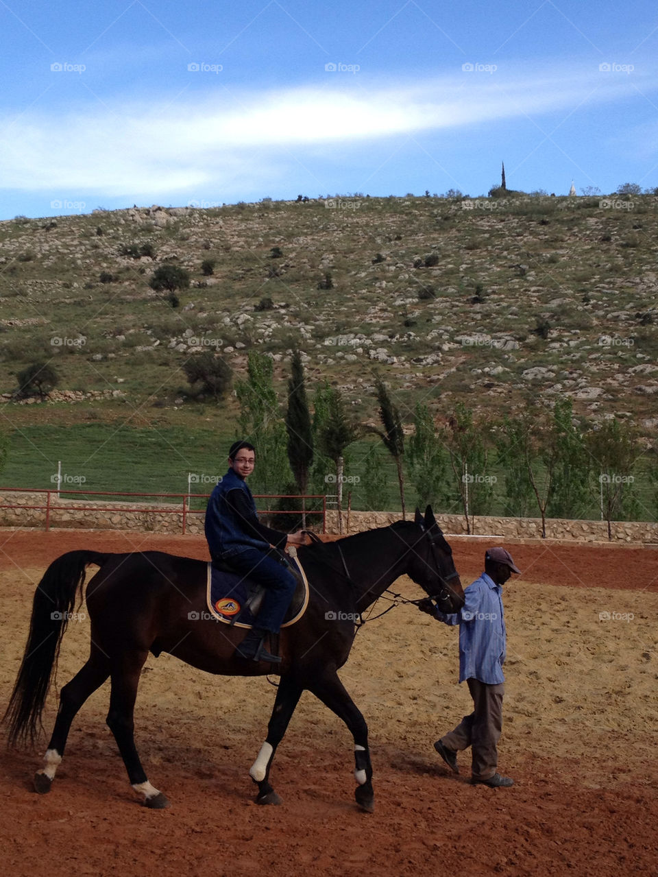 spring tree sand horse by a.bilbaisi