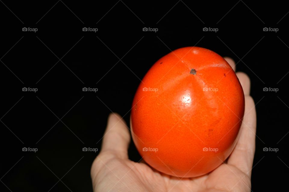 fresh tropic persimmon fruit in the hand black  background