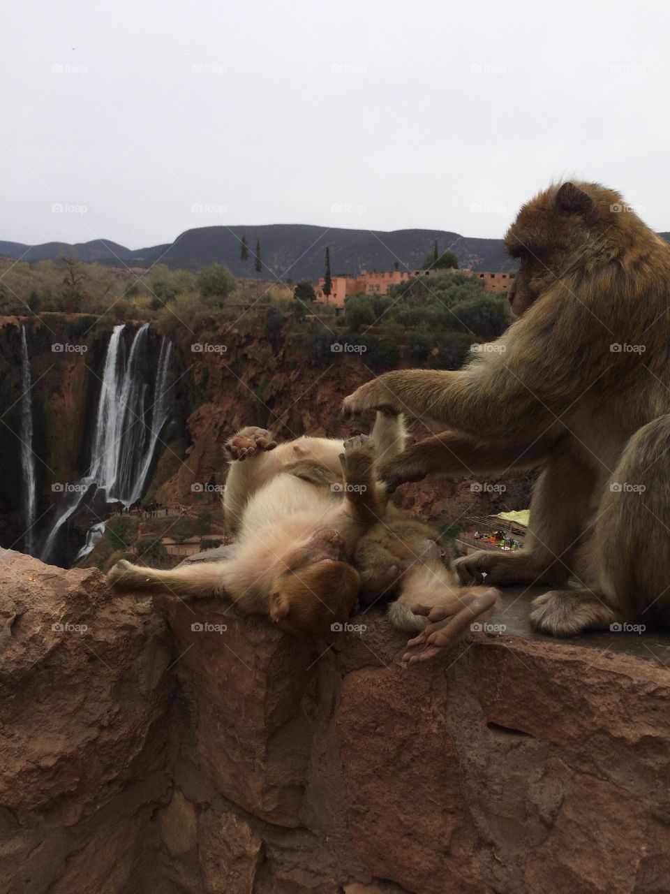 Hanging out by the falls