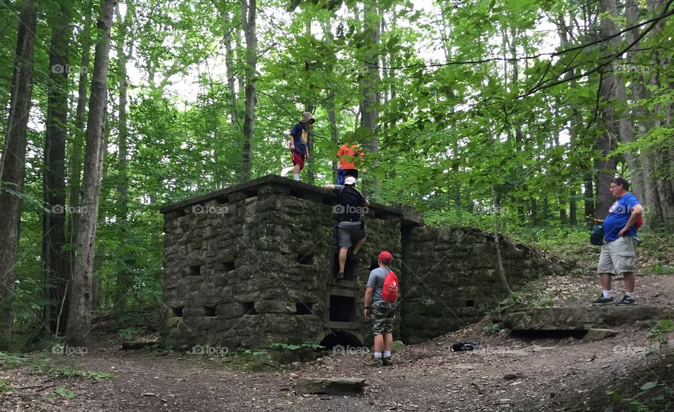 Explore in the woods