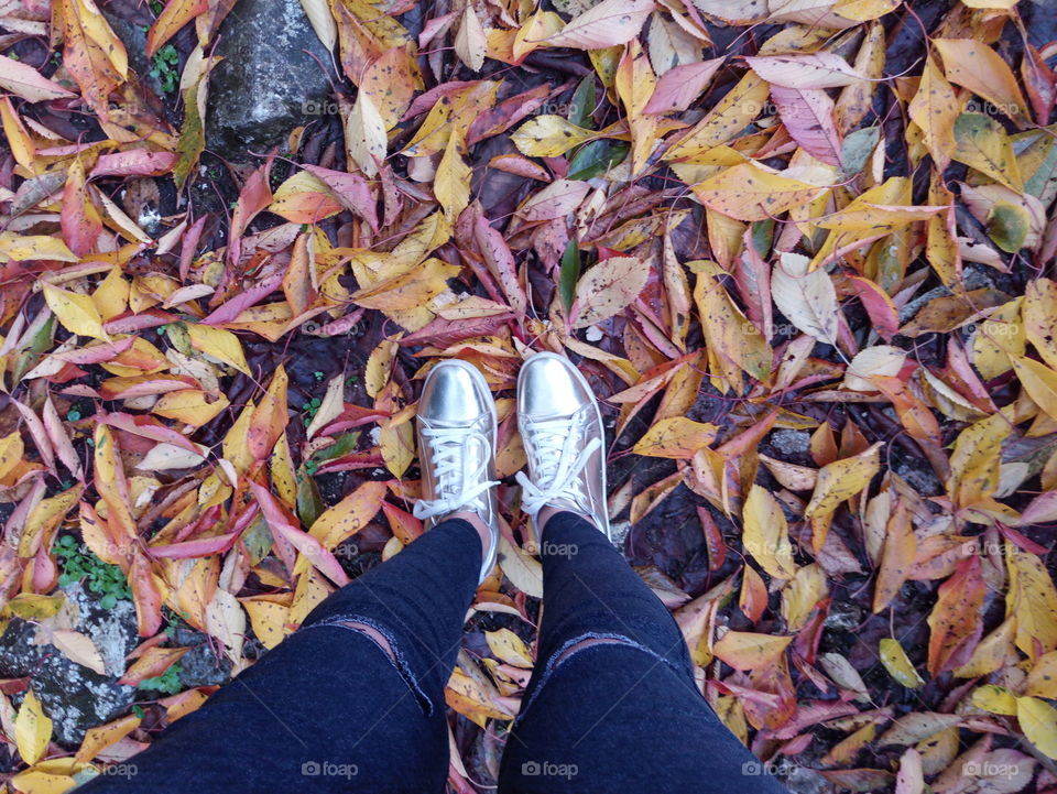 happy feet in autumn