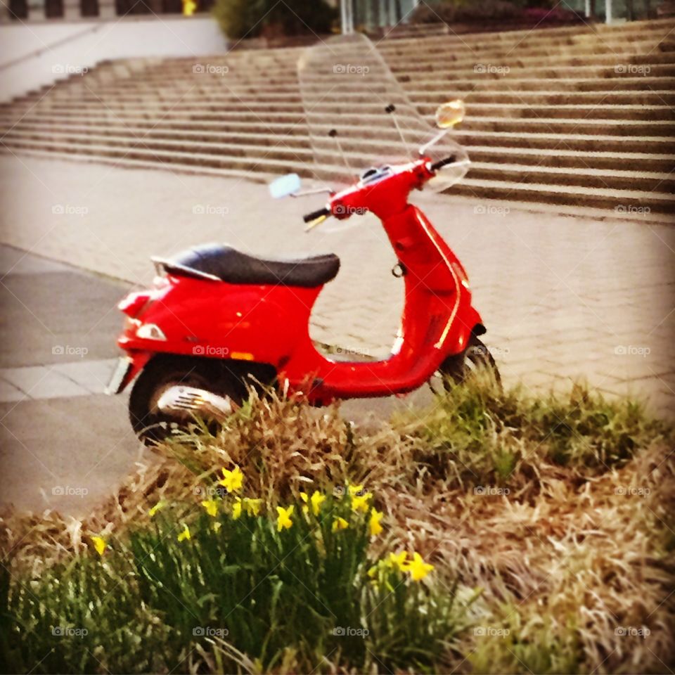 Scooter in Spring