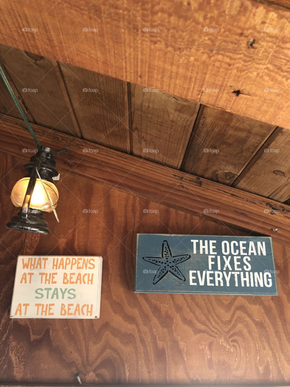 Signs in the Fishetarian