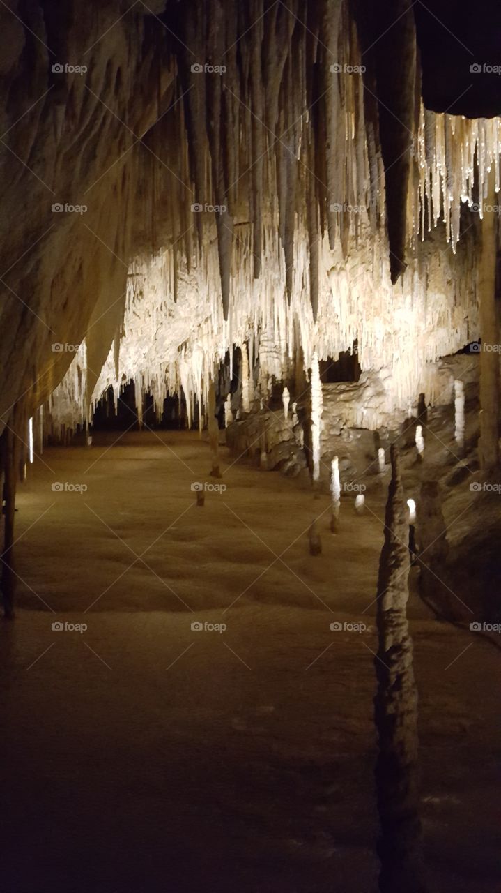 hastings cave