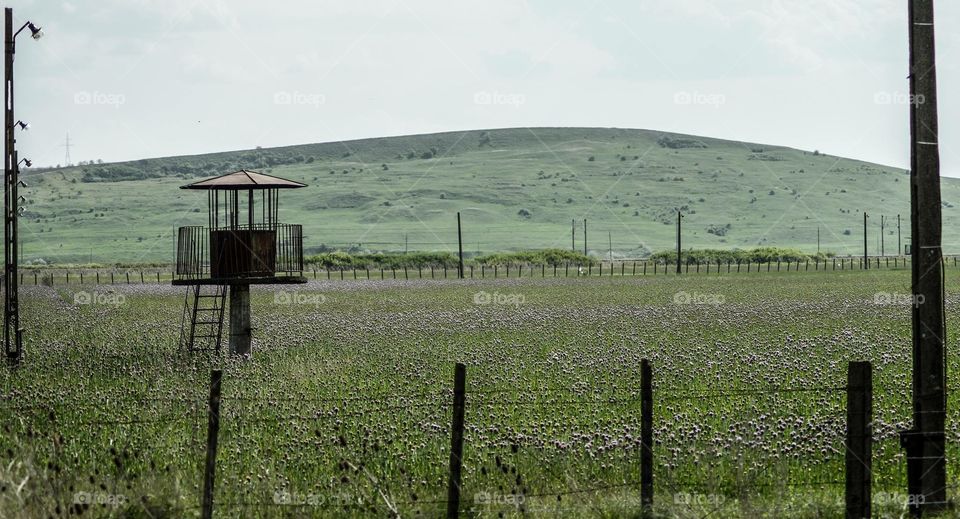 Ukraine field with tower