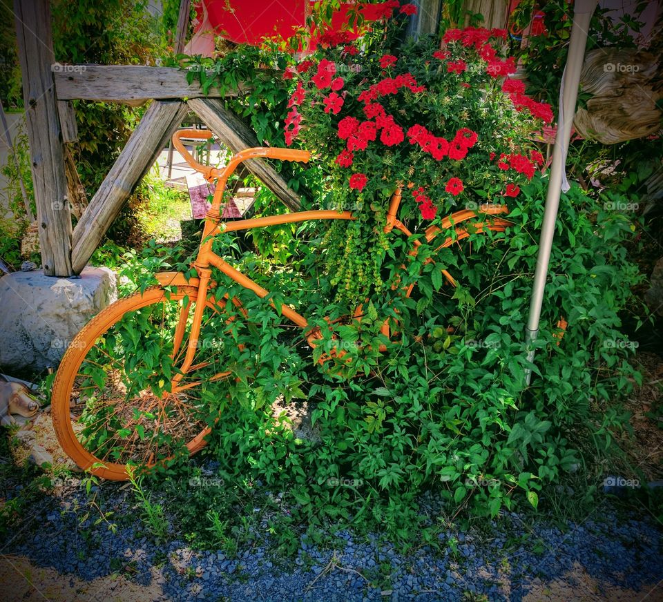 lovely bike with flowers