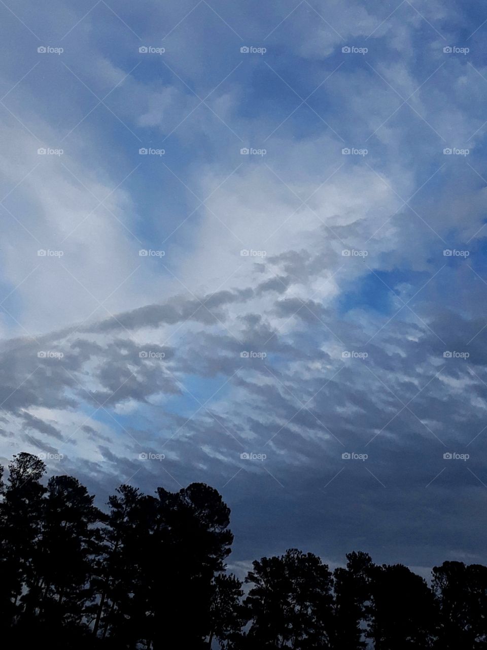 Series: Shades Of Gray